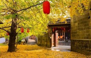 高黎貢山野溫泉與瀑布